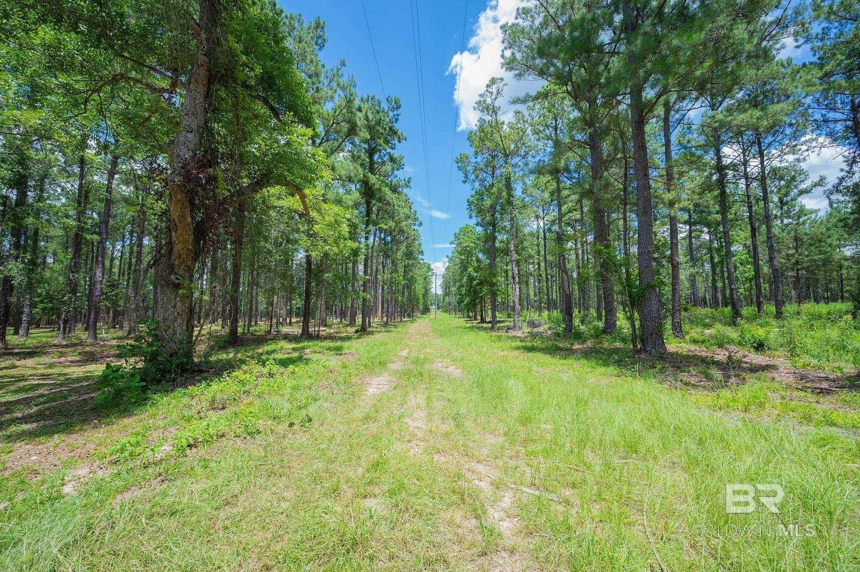 3.12 Acres of Residential Land for Sale in Bay Minette, Alabama
