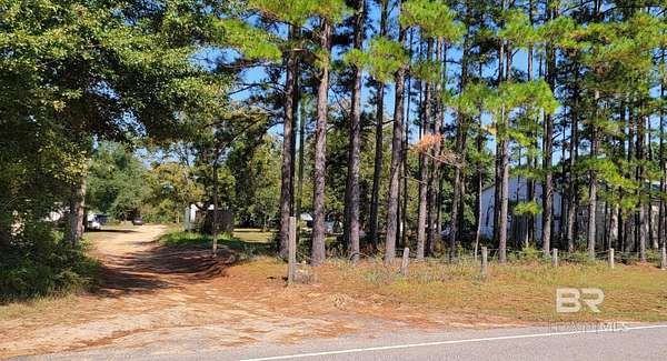 20 Acres of Land for Sale in Summerdale, Alabama