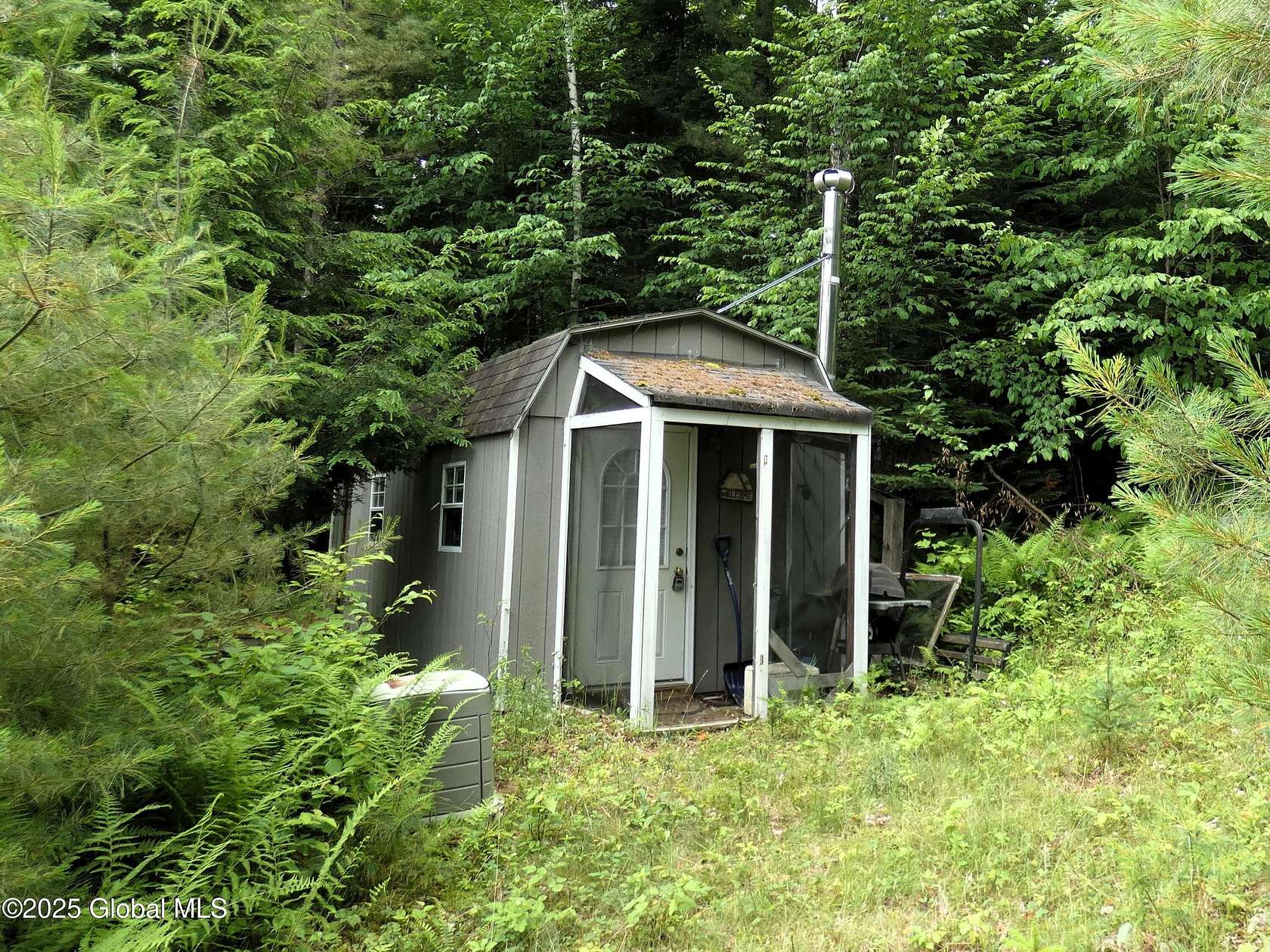 2.8 Acres of Residential Land with Home for Sale in Minerva, New York