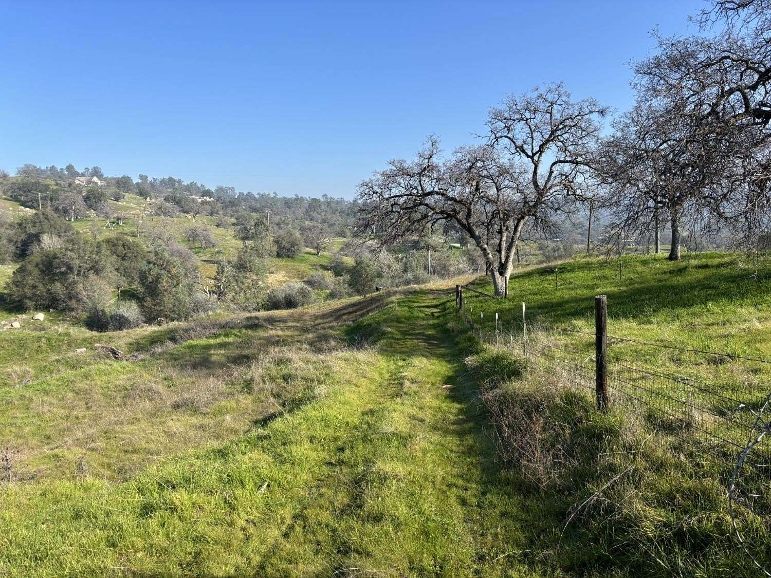 40.6 Acres of Agricultural & Residential Land for Sale in Friant, California