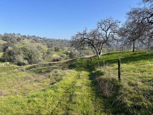 40.6 Acres of Agricultural Land for Sale in Friant, California