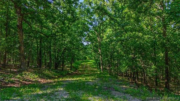 6.3 Acres of Residential Land for Sale in Edwards, Missouri
