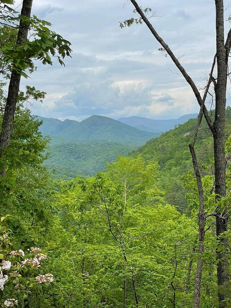 7 Acres of Agricultural Land for Sale in Bryson City, North Carolina