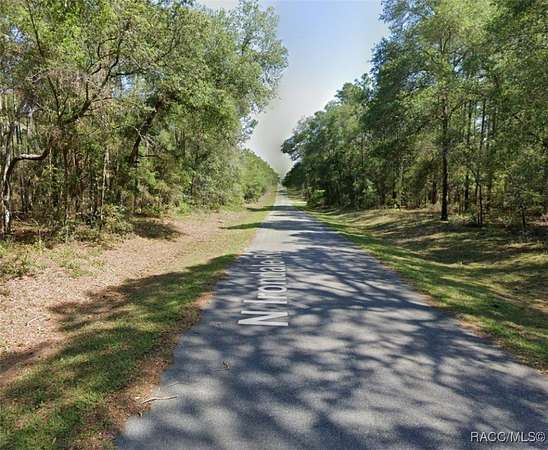 0.35 Acres of Land for Sale in Citrus Springs, Florida
