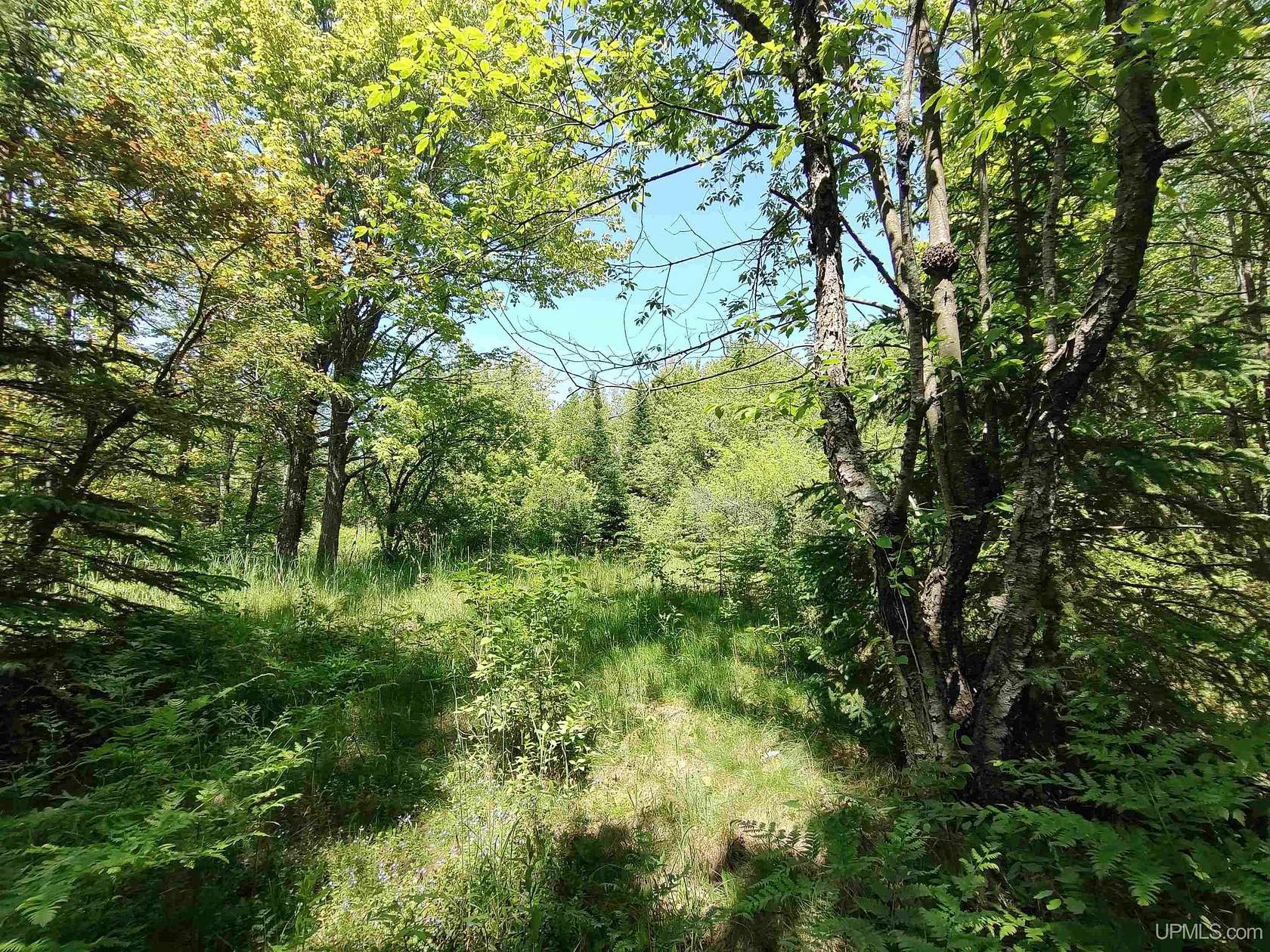 32 Acres of Recreational Land for Sale in Au Train, Michigan