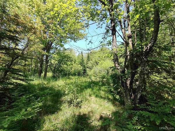 32 Acres of Recreational Land for Sale in Au Train, Michigan