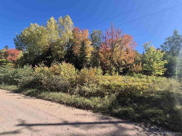 32 Acres of Recreational Land for Sale in Au Train, Michigan