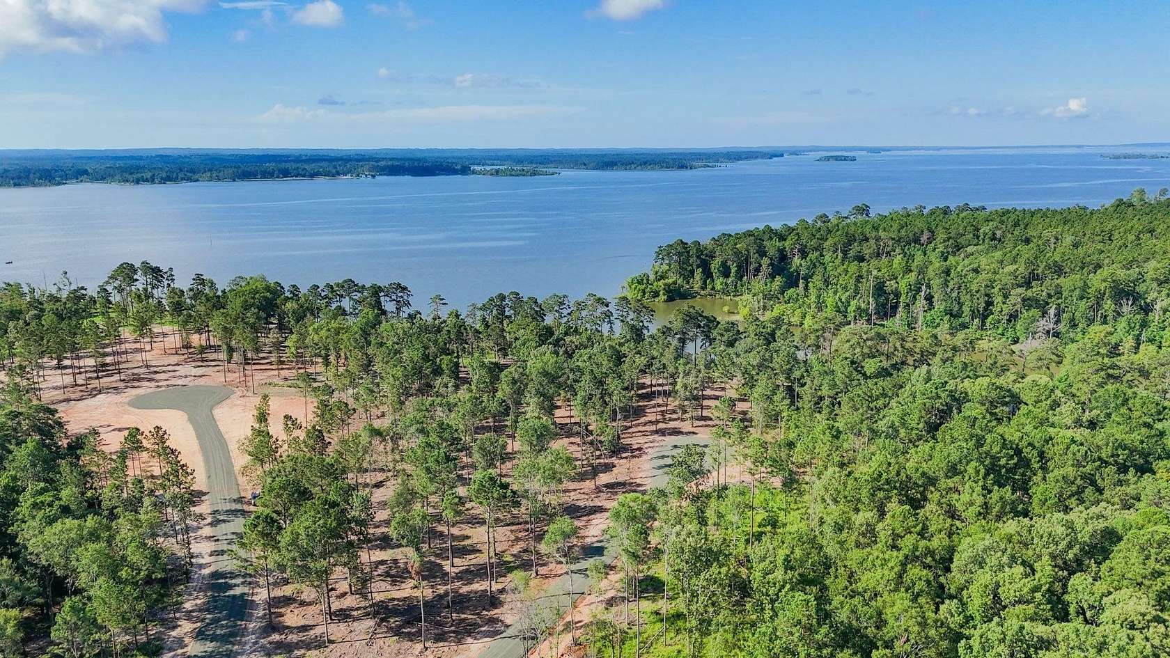 1 Acre of Residential Land for Sale in Pineland, Texas