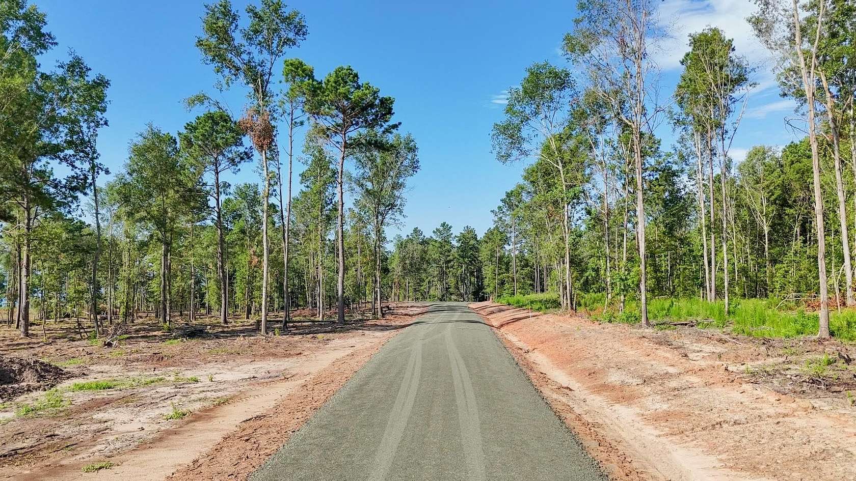 1.1 Acres of Residential Land for Sale in Pineland, Texas