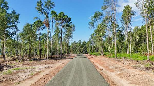 1.1 Acres of Residential Land for Sale in Pineland, Texas