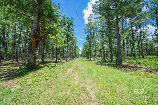3.47 Acres of Residential Land for Sale in Bay Minette, Alabama