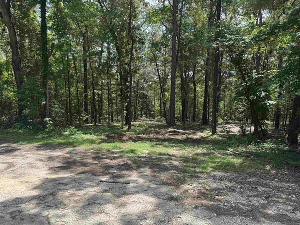 0.21 Acres of Residential Land for Sale in Brookeland, Texas