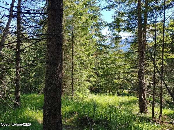 5 Acres of Residential Land for Sale in St. Maries, Idaho
