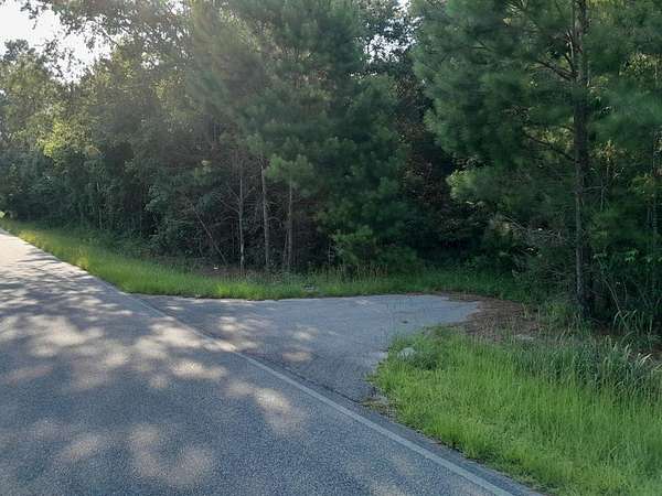 30.8 Acres of Land for Sale in Pineville, South Carolina