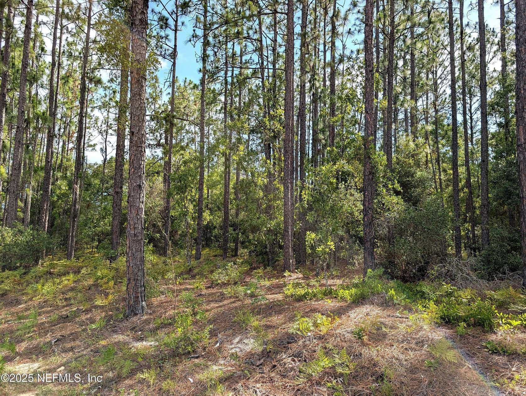 1.25 Acres of Residential Land for Sale in Keystone Heights, Florida