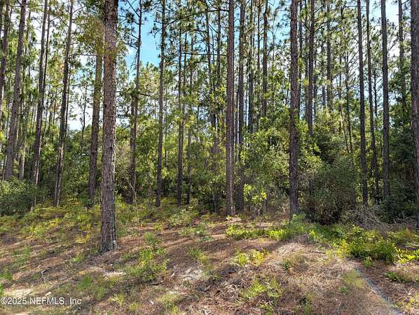 1.25 Acres of Residential Land for Sale in Keystone Heights, Florida