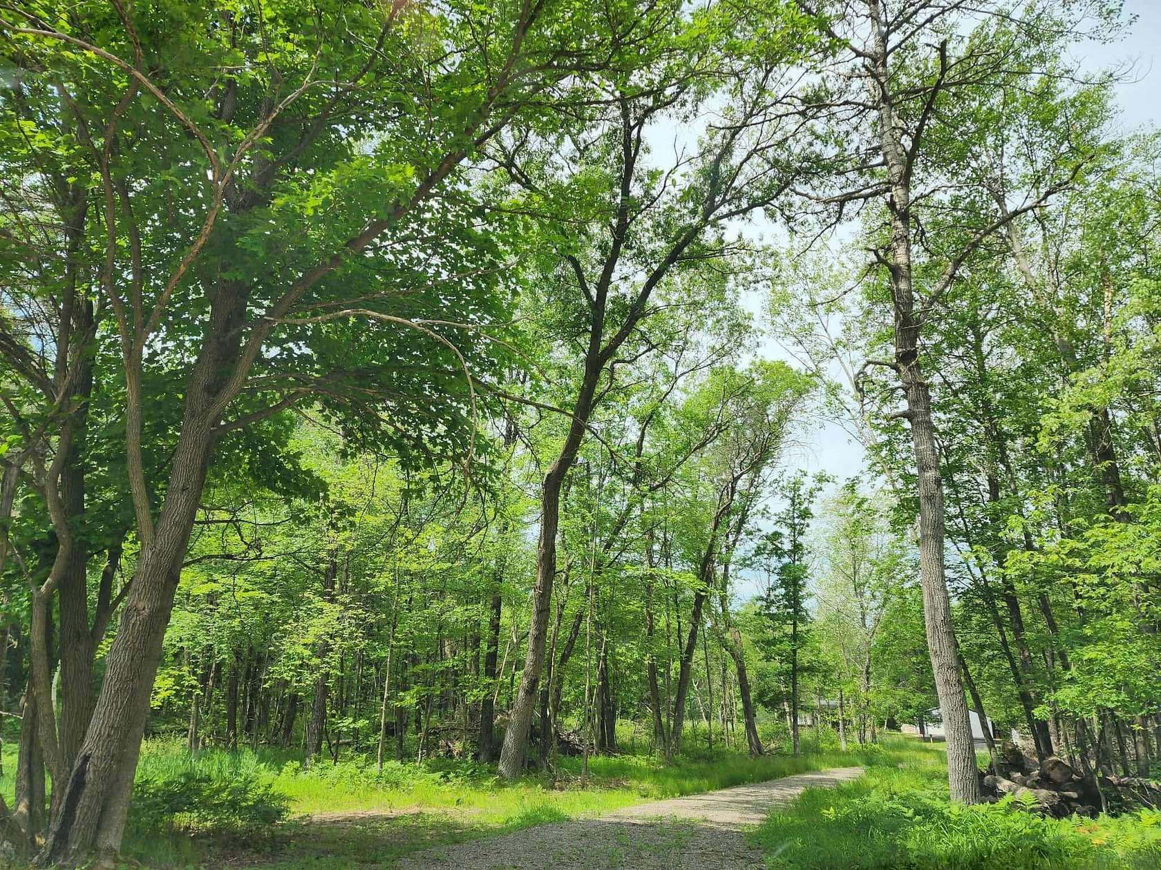 5 Acres of Land for Sale in Friendship, Wisconsin