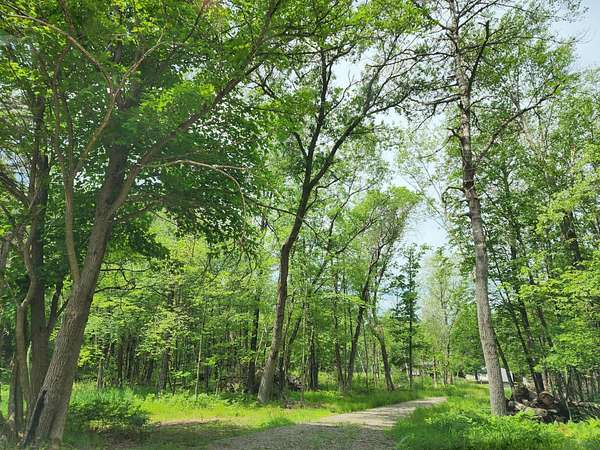 5 Acres of Land for Sale in Friendship, Wisconsin