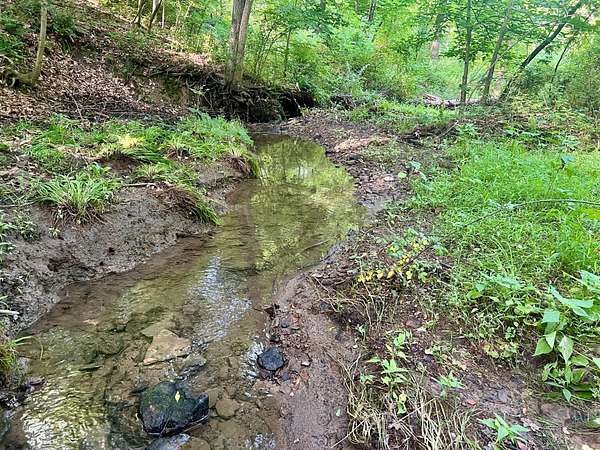 42 Acres of Recreational Land for Sale in Washington, Pennsylvania