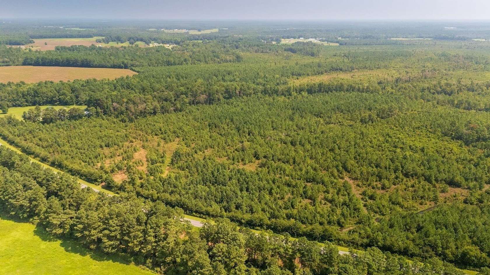 28.6 Acres of Land for Sale in Beulaville, North Carolina