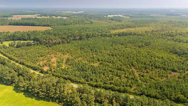 28.6 Acres of Land for Sale in Beulaville, North Carolina