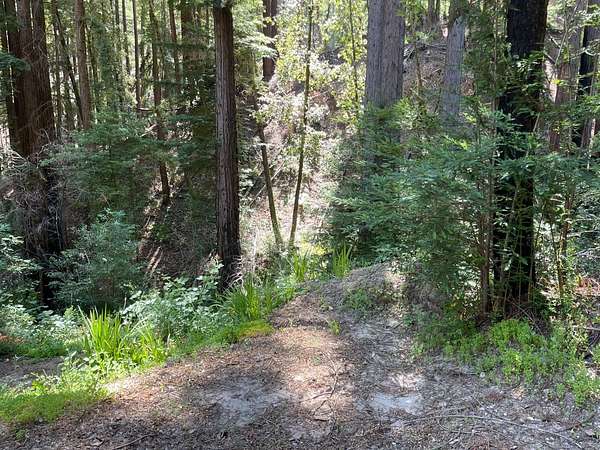 0.36 Acres of Residential Land for Sale in Boulder Creek, California