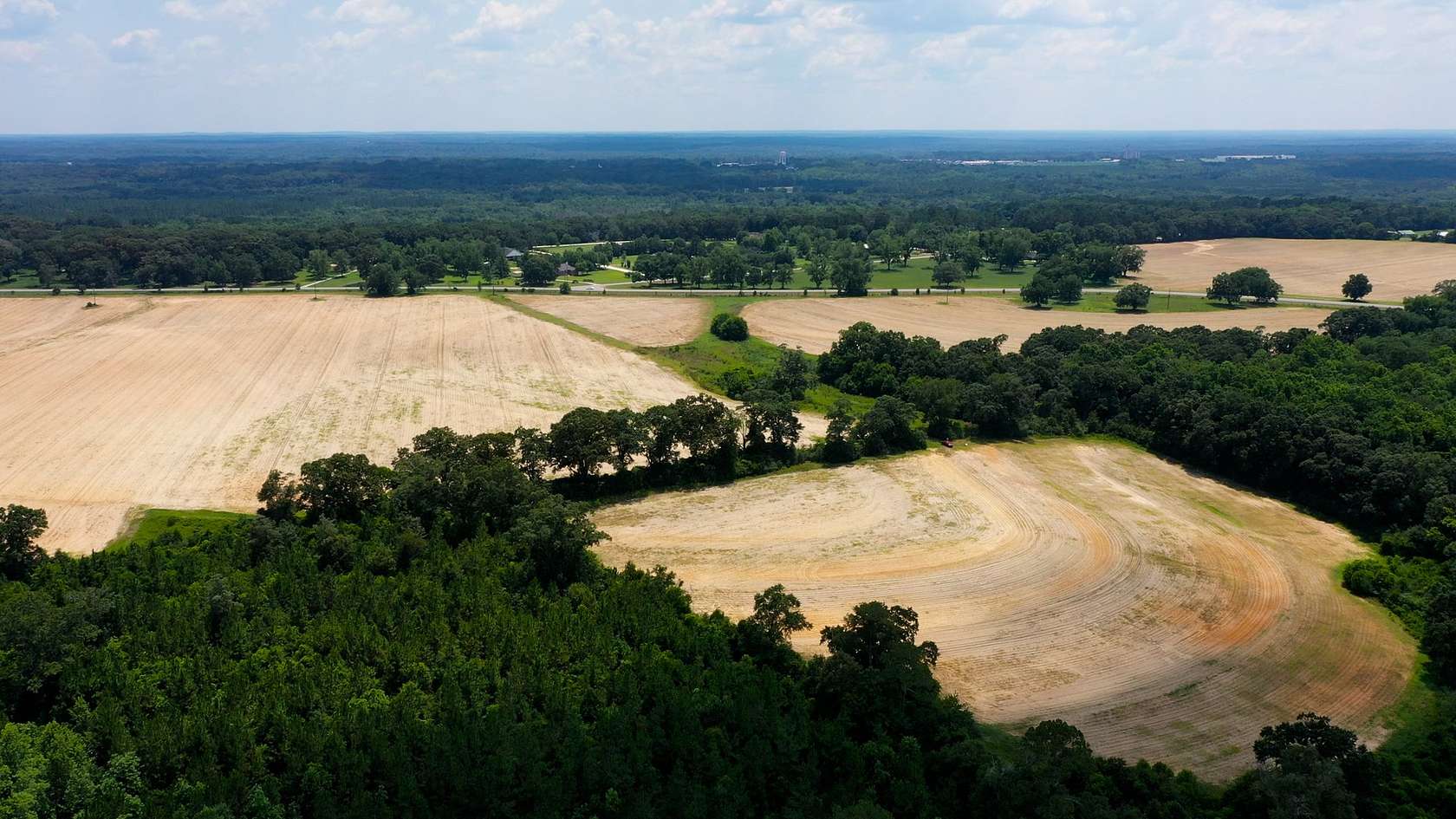 167 Acres of Land for Sale in Geneva, Alabama