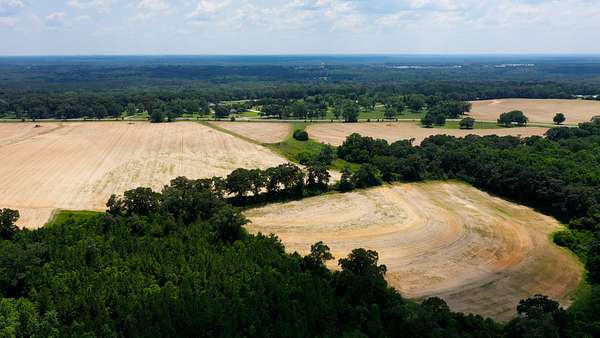 167 Acres of Land for Sale in Geneva, Alabama
