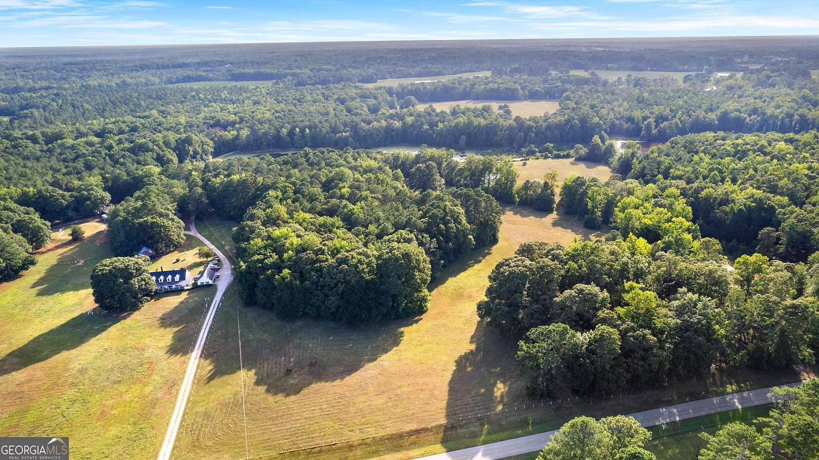 63.1 Acres of Land for Sale in Williamson, Georgia
