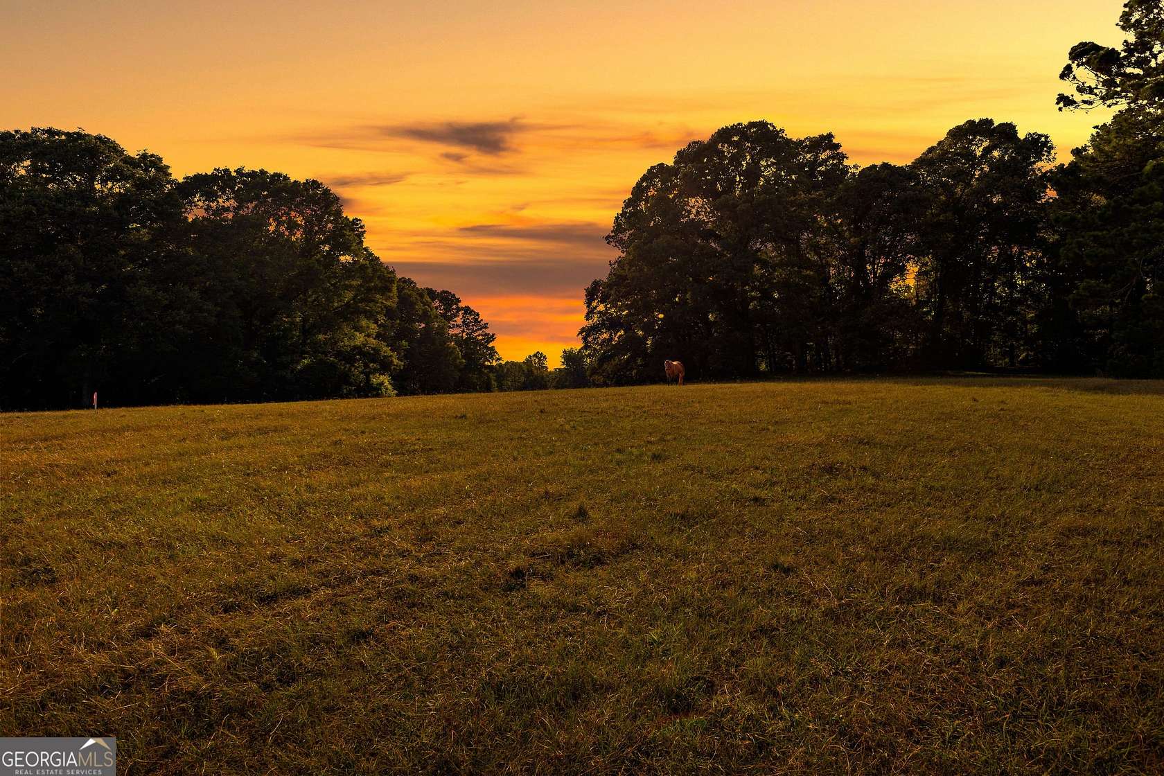 63.1 Acres of Land for Sale in Williamson, Georgia
