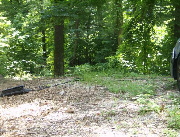 0.33 Acres of Residential Land for Sale in Hernando, Mississippi