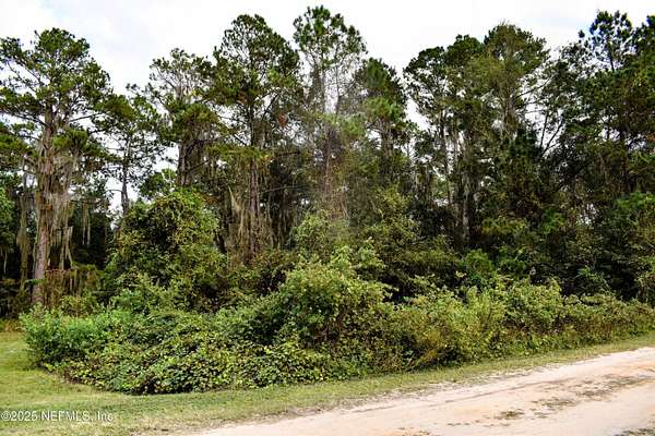0.23 Acres of Residential Land for Sale in Florahome, Florida