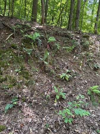 0.59 Acres of Residential Land for Sale in Ellijay, Georgia