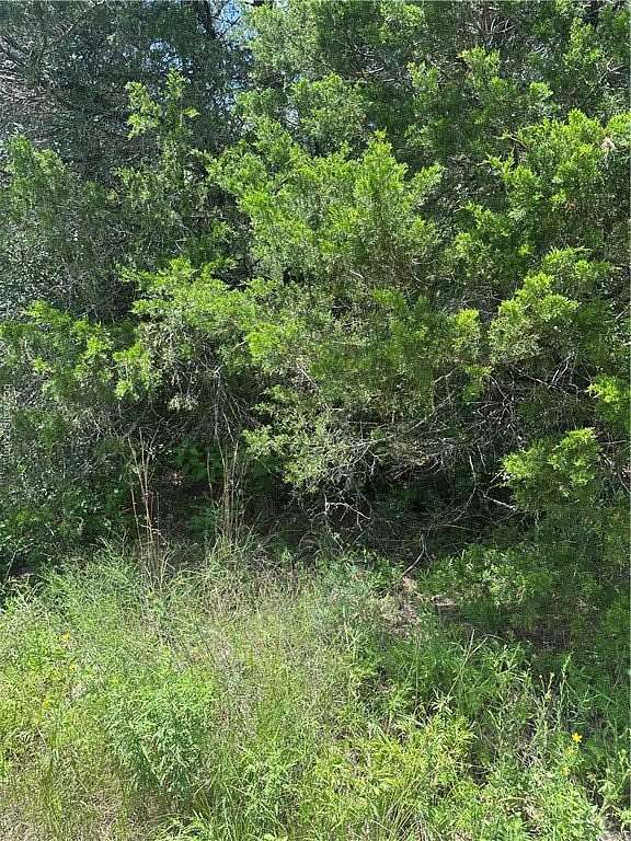 0.29 Acres of Residential Land for Sale in Caldwell, Texas