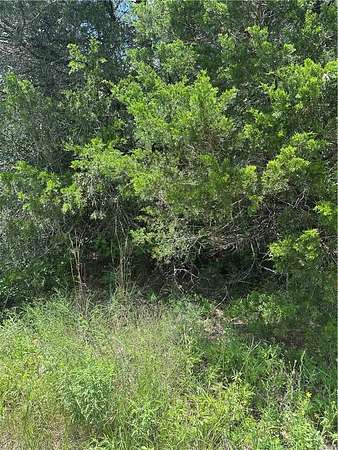 0.29 Acres of Residential Land for Sale in Caldwell, Texas