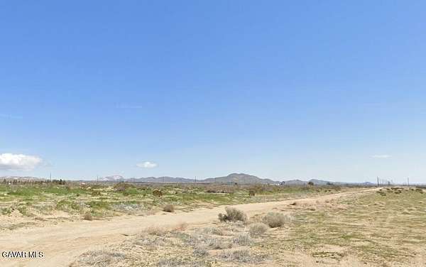 Land for Sale in Rosamond, California
