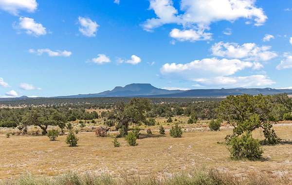 12.3 Acres of Land for Sale in Pie Town, New Mexico