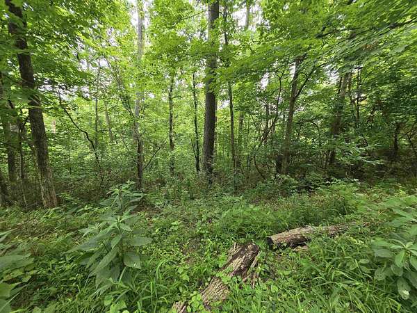 4.33 Acres of Residential Land for Sale in Huntington, West Virginia