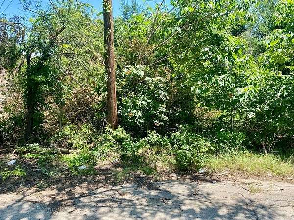 0.15 Acres of Land for Sale in Mineral Wells, Texas