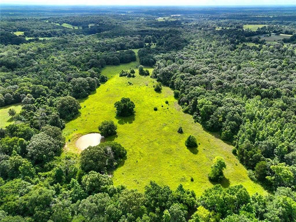 54.1 Acres of Land for Sale in Oakwood, Texas