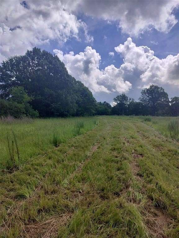 54.1 Acres of Land for Sale in Oakwood, Texas