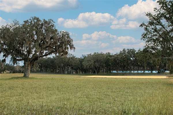 12 Acres of Land for Sale in Summerfield, Florida