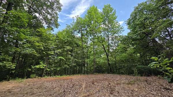 Residential Land for Sale in Murphy, North Carolina