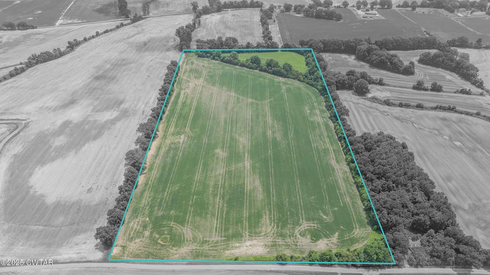 38.5 Acres of Land for Sale in Ripley, Tennessee