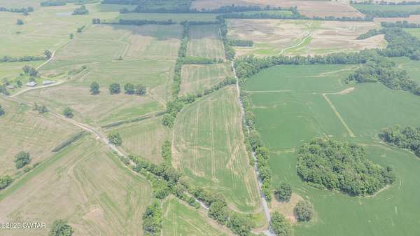 40 Acres of Land for Sale in Ripley, Tennessee