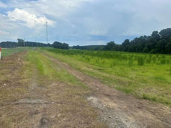 85 Acres of Land for Sale in Brundidge, Alabama