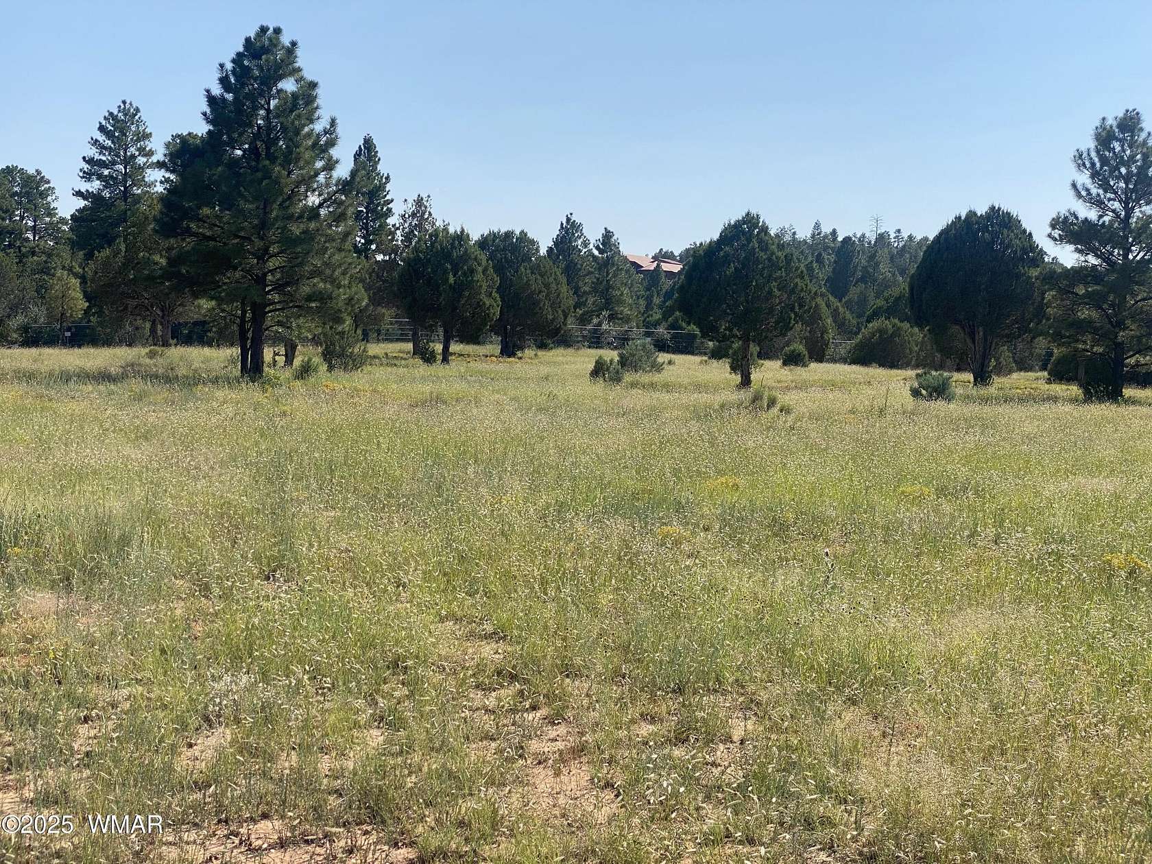 2 Acres of Residential Land for Sale in Show Low, Arizona