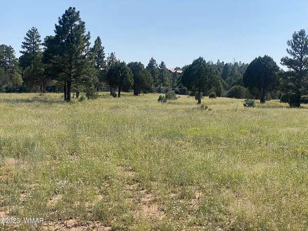 2 Acres of Residential Land for Sale in Show Low, Arizona