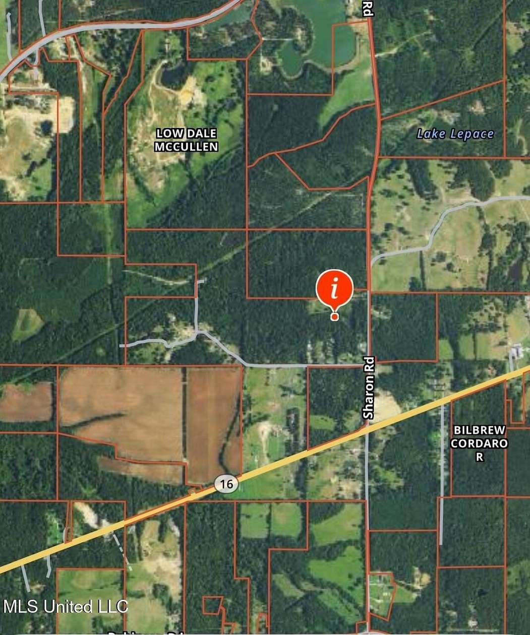 12 Acres of Recreational Land for Sale in Canton, Mississippi