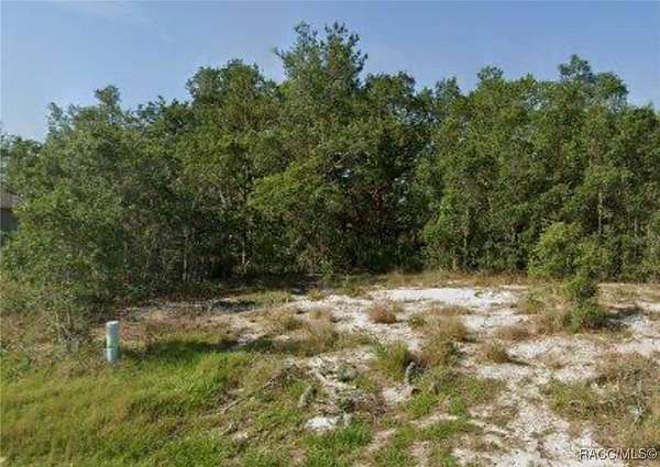 0.25 Acres of Residential Land for Sale in Poinciana, Florida
